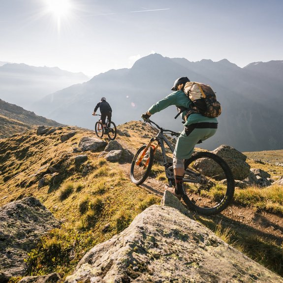 Fern sales ski bikes