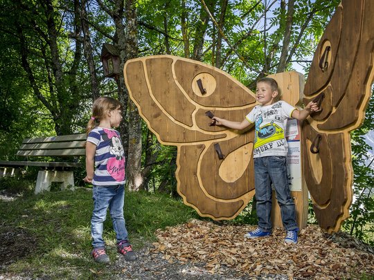 The magic forest in Sautens in the Ötztal