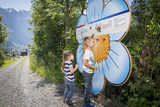 Family tip: Magic Forest in Sautens in the Ötztal