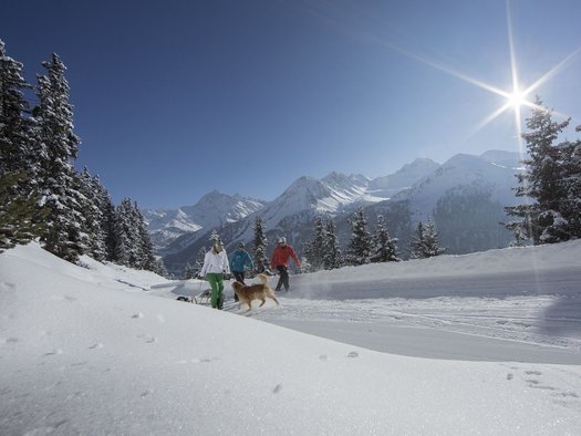 Schneesichere Rodelbahen im Ötztal