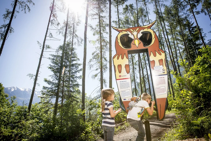 Enchanted forest in Sautens in the Ötztal Enchanted forest in Sautens in the Ötztal