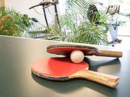 Table tennis in the Ötztal