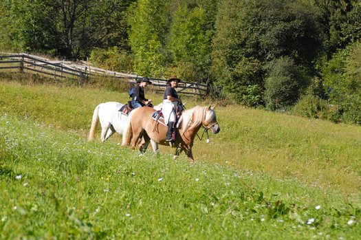 Reiten im Ötztal