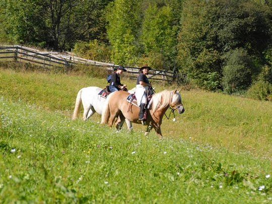 Riding holidays in the Ötztal