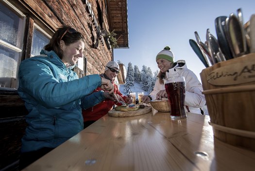 Rustic toboggan huts in the Ötztal