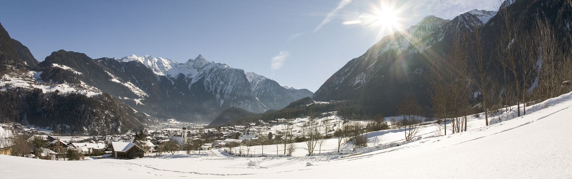 Winter Panorama